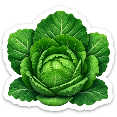 Savoy cabbage sticker
