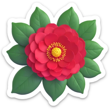 Detailed camellia japonica (tsubaki) flower with rich red formal double form petals, yellow stamens and shiny evergreen leaves sticker