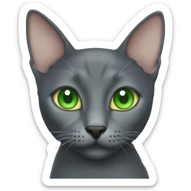 Korat cat with green eyes face sticker