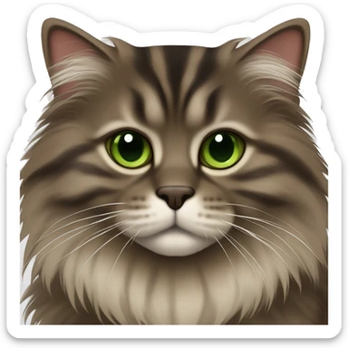 Dark Brown striped fluffy siberian cat with green/light brown eyes sticker