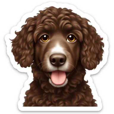 Chocolate brown Aussie doodle sticker