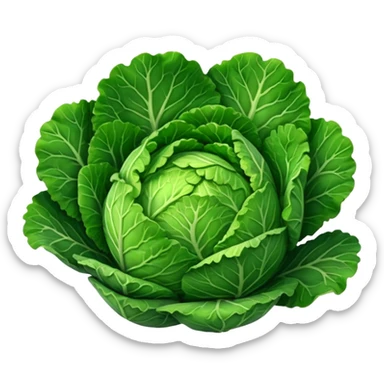 Savoy cabbage sticker