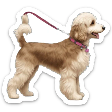 side profile of aussiedoodle on a leash going for a walk sticker