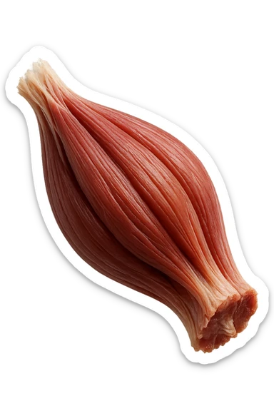 porzione di tessuto muscolare umano iperrealistico fluttua in aria, iperrealistico 4k sticker