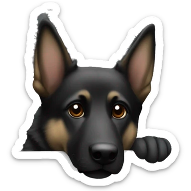 A small adult mostly black German Shepard sticking his head out of a silver Toyota camery  sticker