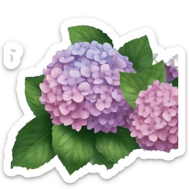 Hydrangeas wallpaper  sticker