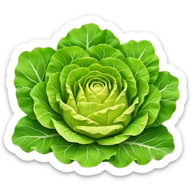 head of lettuce, layered green leaves, crisp, curled edges, outer leaves bright green, inner leaves pale yellow, leafy, ruffled, veined, fresh, base stem end visible, 3D, clean, minimal, soft shadows, transparent background, emoji scale sticker