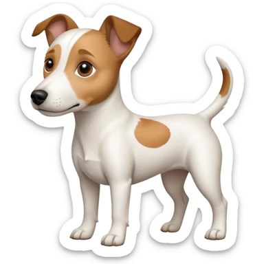 a full body white jack russel looking dog the size of a kelpie with light brown ears and a light brown patch on one eye and a large snout sticker