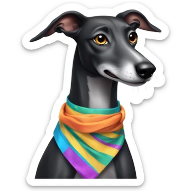 Black greyhound with sash and a number sticker