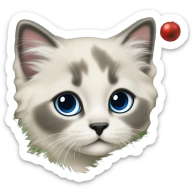 Blue colorpoint ragdoll kitten with dark nose climbing a Christmas tree sticker