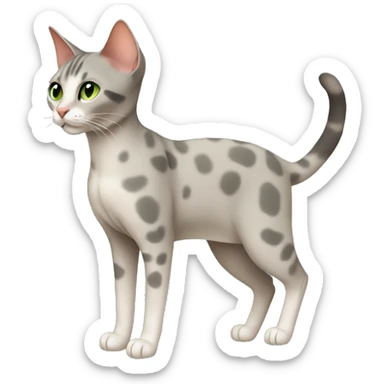 Short-haired oriental cat ,full body , grey coat with small spots , green eyes , terracotta nuzzle sticker