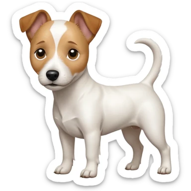 a full body white jack russel looking dog the size of a kelpie with light brown ears and a light brown patch on one eye and a large snout sticker