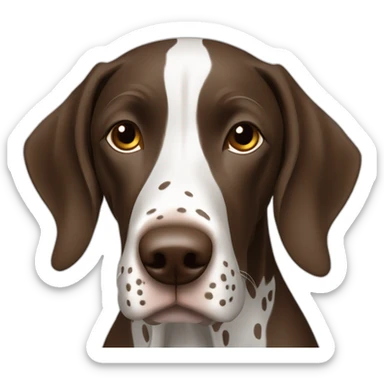 white and brown german shorthaired pointer sticker