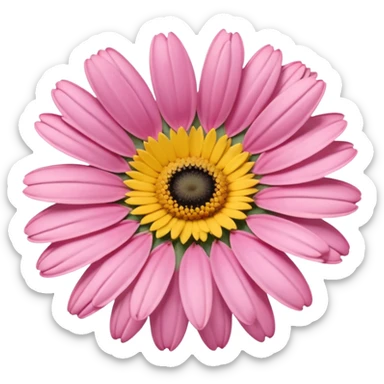 “A Polaroid-style photo of a pink daisy  sticker
