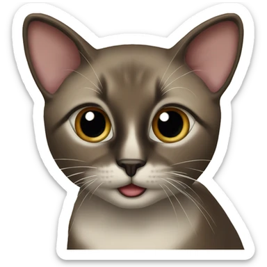 Siamois marron foncé sticker