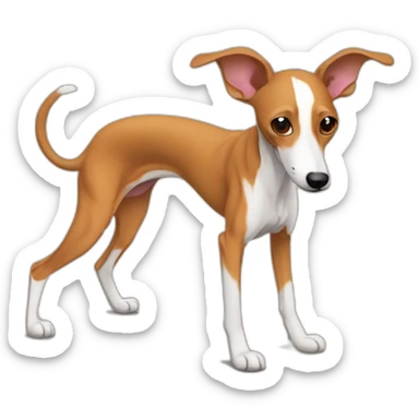 Podenco marrón en gimnasio sticker