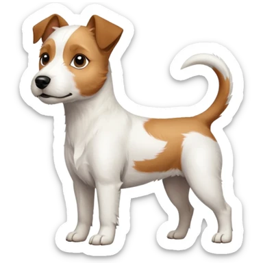 a full body slightly chubby white parson russell terrier looking dog the size of a kelpie with light brown long ears and a light brown patch on one eye and a large snout sticker