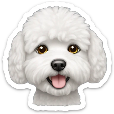 Bichon friser sticker