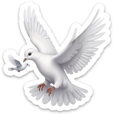 A postcard with a dove sticker