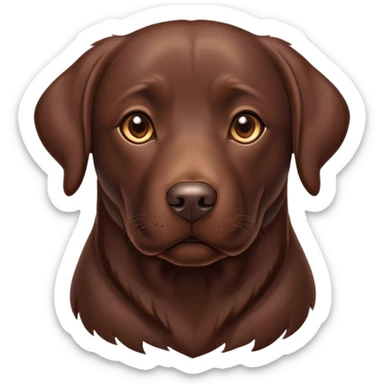 Cinematic Noble Chocolate Labrador Portrait Emoji, Poised and regal, with a robust, muscular build and a rich, glossy chocolate Fur, deep-set soulful brown eyes, Simplified yet sharp and sophisticated features, highly detailed, glowing with a soft, dignified glow, high shine, intelligent and gentle, stylized with an air of confidence, focused and attentive, soft glowing outline, capturing the essence of a watchful and loving companion, so majestic it feels as though it could bound out of the screen with effortless authority! sticker