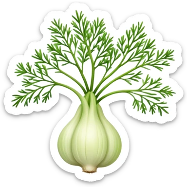 fennel bulb with 4 branches sticker