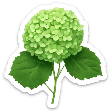 Green hydrangea sticker