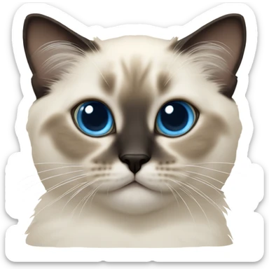 an entire birman kitten, small face, some spots of dark on the ears and middle of the face, blue eyes, laying down relaxed on a shoulder. sticker