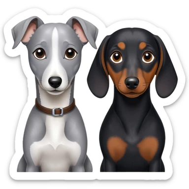 Grey Whippet and a black Dashaund  sticker