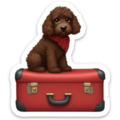 Chocolate colored doodle dog with wavy hair wearing a red and black flannel handkerchief with a carryon suitcase sticker