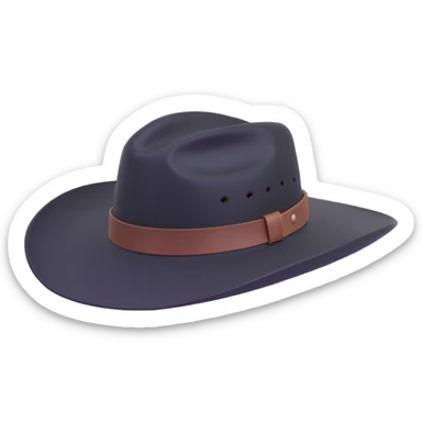 billy jack hat, side view, black felt, flat crown, wide brim, simple leather band, classic western style sticker