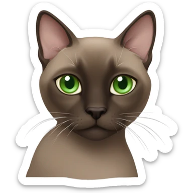 dark brown tonkinese cat sticker
