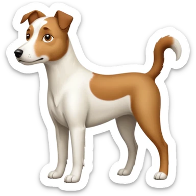 a full body large white parson russell looking dog the size of a kelpie with light brown ears and a light brown patch on one eye and a large snout sticker
