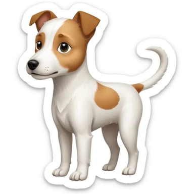 a full body slightly chubby white parson russell terrier looking dog the size of a kelpie with light brown long ears and a light brown patch on one eye and a large snout. the rest of the dog is completely white sticker