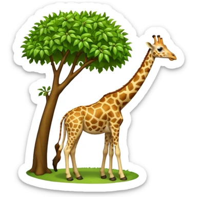 giraffe eating leaves from a tree sticker