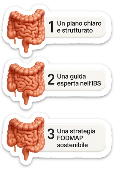 emoji stile iphone di 3 targhette numerate con intestino realistico davanti ad ogni targhetta, le targhette sono:
"1 – Un piano chiaro e strutturato
2 – Una guida esperta nell’IBS
3 – Una strategia FODMAP sostenibile"
, iperrealistico 4k sticker