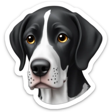 black & white german shorthair pointer, full black head, without white on the head, with white hair on the snout sticker