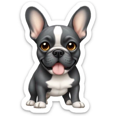 Dark grey French bulldog with tan  sticker