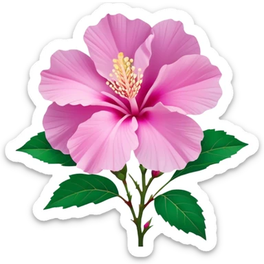 Cinematic Realistic image of a Mugunghwa flower (Rose of Sharon), rendered with delicate petal textures and vibrant pink hues, set against a minimalist background with gentle, diffused lighting that highlights its national significance sticker