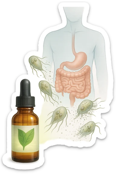 A realistic, high-quality medical illustration showing microscopic parasites leaving the human intestines, symbolically dissolving and breaking apart, after the intake of natural kinesiological drops. The drops are shown in a small amber glass dropper bottle in the foreground with a green leaf on the label, emitting a subtle glow symbolizing detox and cleansing. The background depicts a semi-transparent human silhouette with a highlighted digestive tract, showing clean, healthy intestines, while parasites in translucent fading colors are moving out, symbolizing elimination. The atmosphere is clean, fresh, and conveys a sense of natural healing, detoxification, and hope. sticker