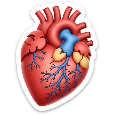 heart organ  sticker