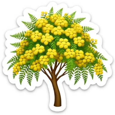 Cinematic Realistic Acacia Emoji, Bright and cheerful, with clusters of fluffy yellow flowers blooming along delicate branches. The wattle’s soft, fern-like leaves sway in the breeze, radiating a sense of warmth and joy. Soft glowing outline, capturing the essence of Australian sunshine, warmth, and beauty in a vibrant acacia tree! sticker