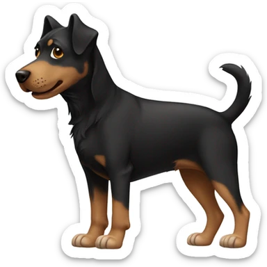 Black and brown dog with one sock foot  sticker