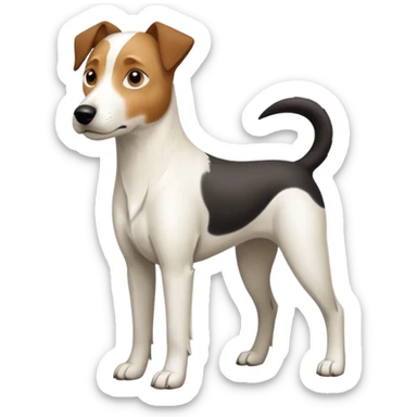 a full body large white parson russell looking dog the size of a kelpie with light brown flapped down ears and a light brown patch on one eye and a large snout sticker