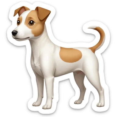 a full body slightly chubby white parson russell terrier looking dog the size of a kelpie with light brown long ears and a light brown patch on one eye and a large snout. the rest of the dog is completely whiteforward facing sticker
