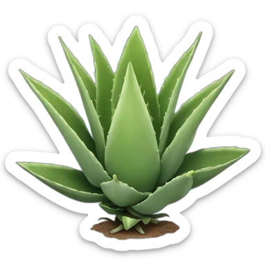 Agave oteroi sticker