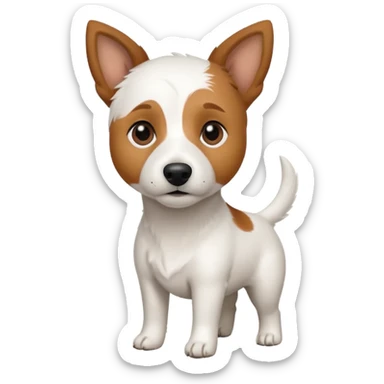 a full body white jack russel looking dog the size of a kelpie with light brown ears and a light brown patch on one eye and a large snout sticker