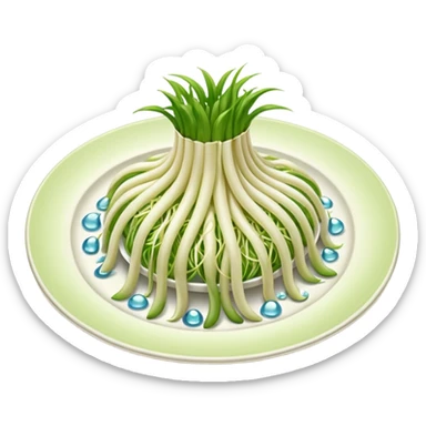 Bean sprouts laid on plate sticker