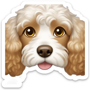 A white cavapoo dog with light brown ears and a few light brown spots on his chest and head sticker