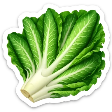 Romaine salad with no tomatoes sticker