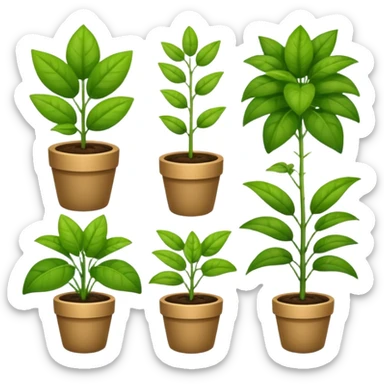 plants culture. Transparent background sticker